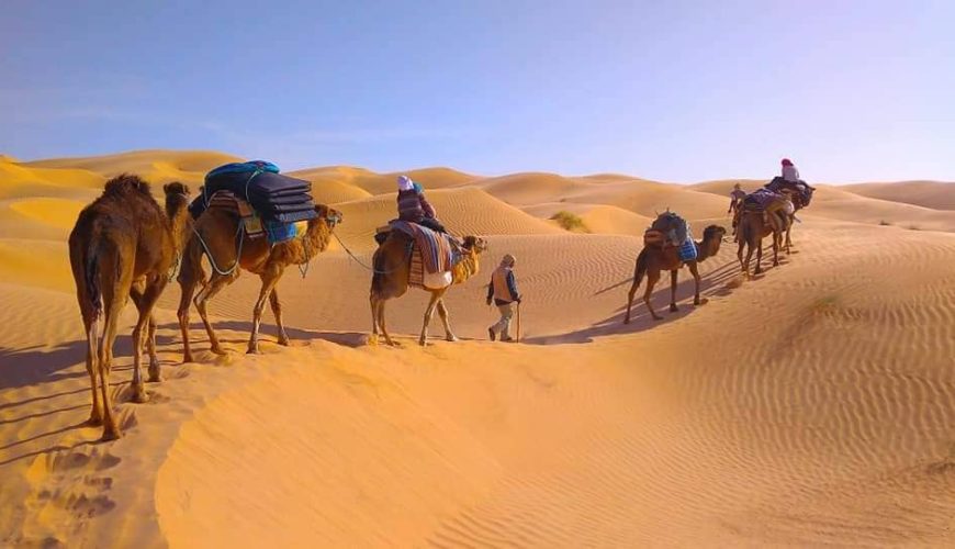 Maisons d'hôtes en Tunisie